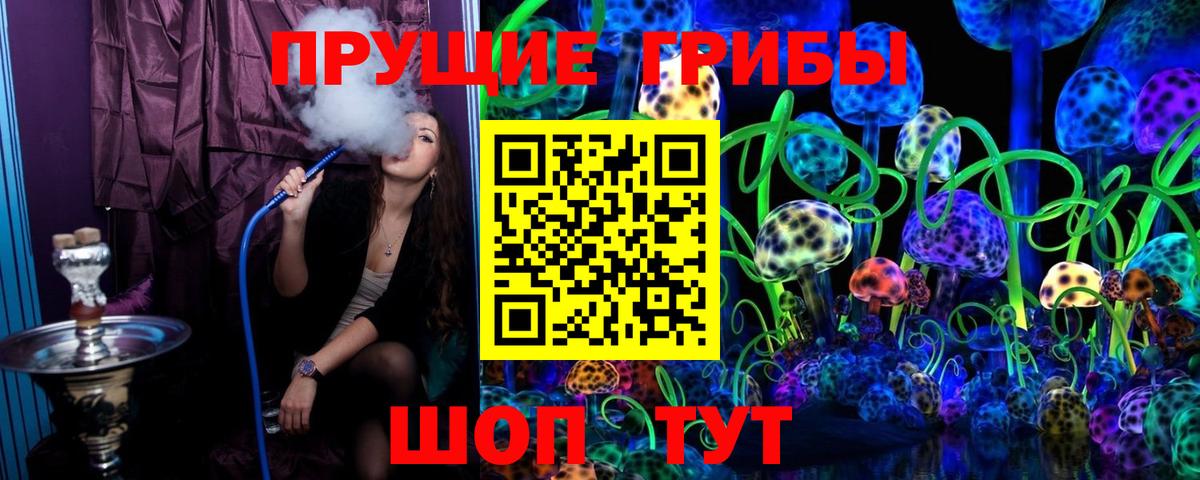 Галлюциногенные грибы Psilocybe Чапаевск