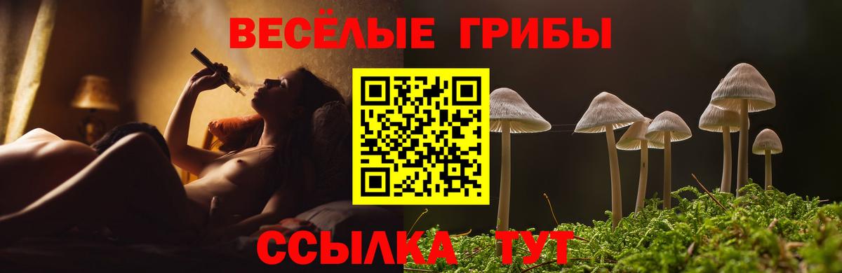 Галлюциногенные грибы ЛСД  Вход с VPN  Чапаевск 